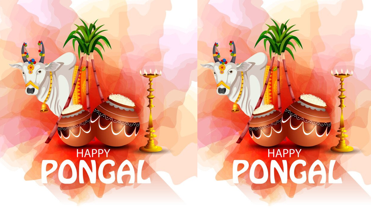 pongal
