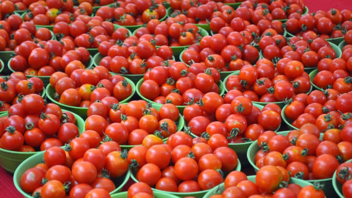 tomato-price