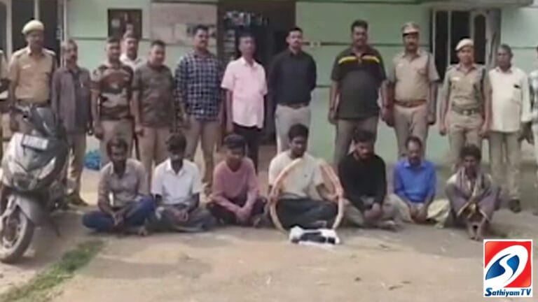ஓசூரில் யானை தந்தங்களை விற்க முயன்ற 7 பேர் கைது..!!