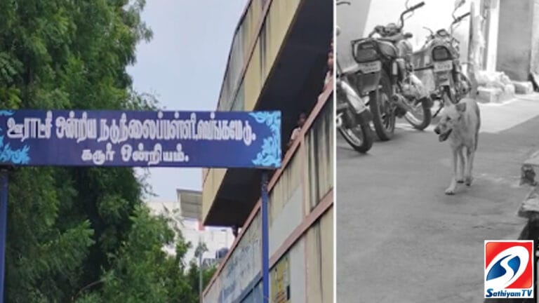 அரசு பள்ளிக்குள் புகுந்து மாணவனை கடித்த வெறிநாய்