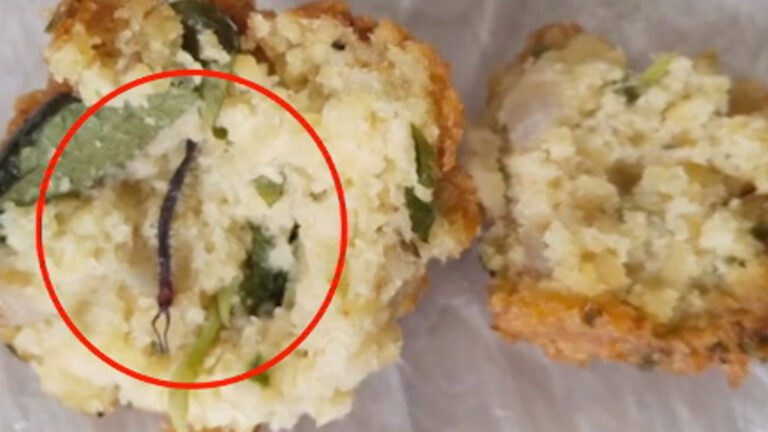 வடையில் செத்துக்கிடந்த பூரான்….வாடிக்கையாளர் அதிர்ச்சி