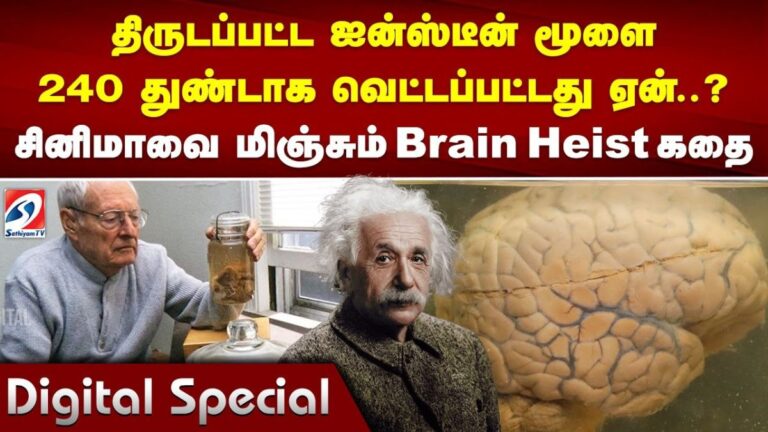 திருடப்பட்ட ஐன்ஸ்டீன் மூளை 240 துண்டாக்கப்பட்டது ஏன்? சினிமாவை மிஞ்சும் Brain Heist