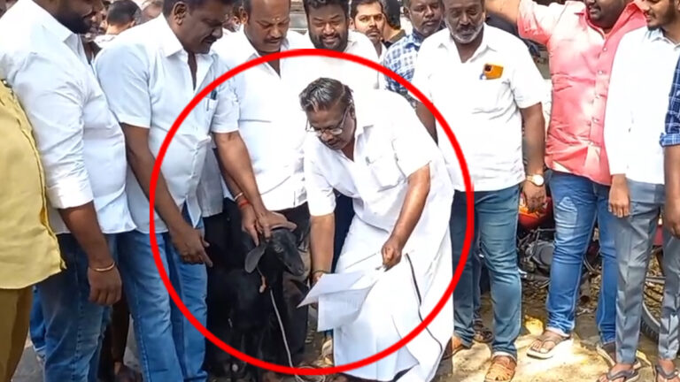 ஆட்டை வைத்து அண்ணாமலையை கலாய்த்த திமுகவினர்