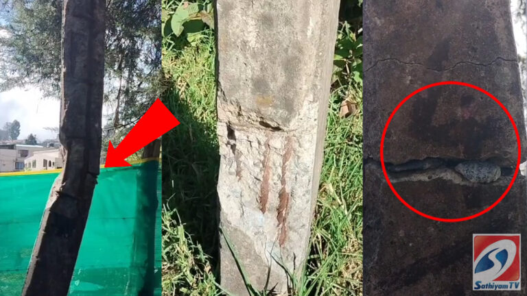 சாய்ந்து கீழே விழும் நிலையில் காணப்படும் மின் கம்பங்கள்