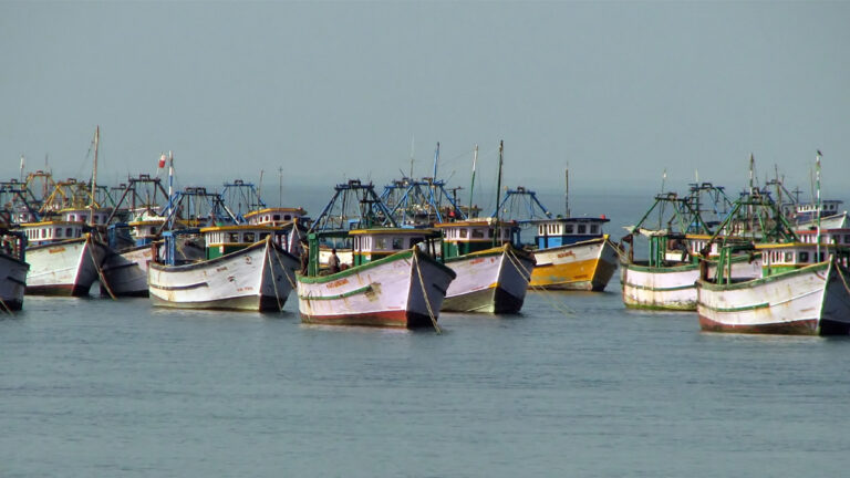 தமிழ்நாடு மீனவர்கள் 14 பேர் கைது செய்தது இலங்கை கடற்படை