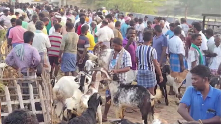 ரம்ஜான் பண்டிகை : எட்டையபுரம் ஆட்டுச்சந்தையில் ரூ.2 கோடி வரை ஆடுகள் விற்பனை
