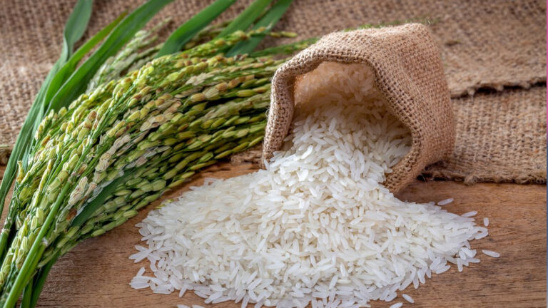 எச்சரிக்கை!!அரிசியால் புற்றுநோய் உண்டாகுமா? ஆய்வில் வெளியான அதிர்ச்சி தகவல்