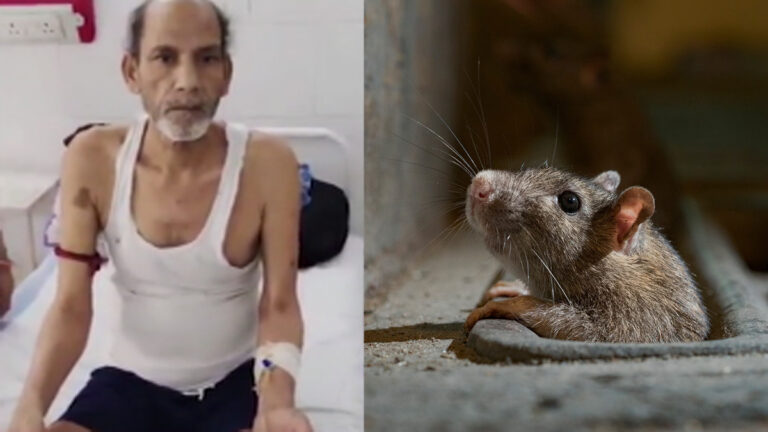 நோயாளியின் விரல்களை கடித்த எலிகள் : அரசு மருத்துவமனையில் நடந்த அதிர்ச்சி சம்பவம்