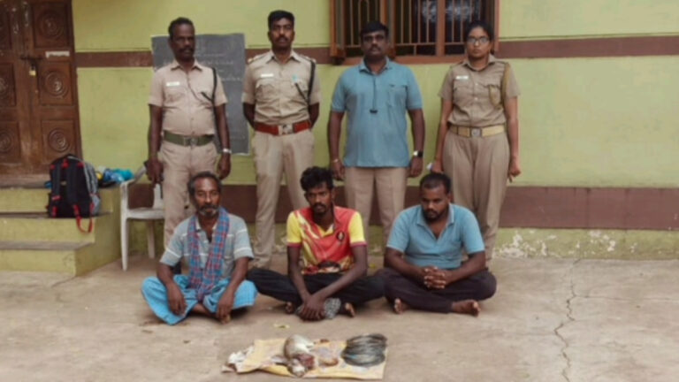 திண்டுக்கல்லில் முயல் வேட்டையில் ஈடுபட்ட 3 பேர் கைது
