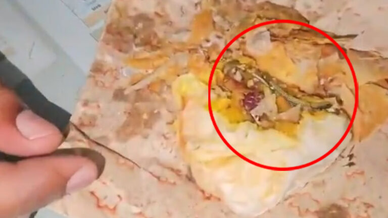 சிக்கன் பப்ஸ்-ல் இறந்து கிடந்த பாம்பு – வாடிக்கையாளர் அதிர்ச்சி